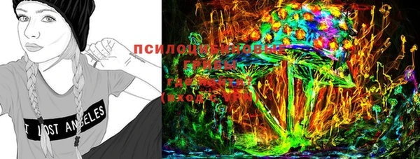 спайс Елизово