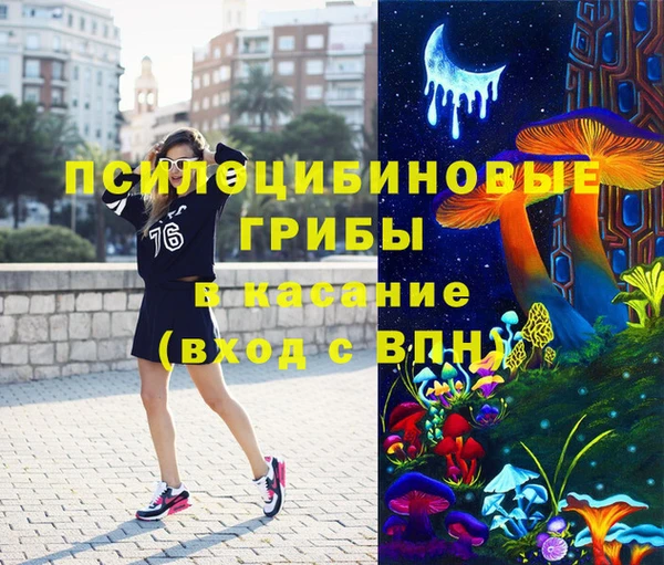 первитин Ельня