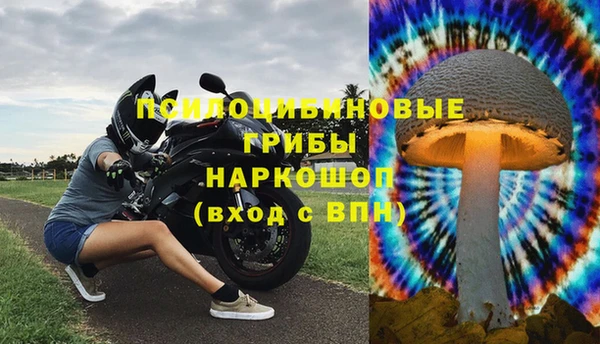 спайс Елизово